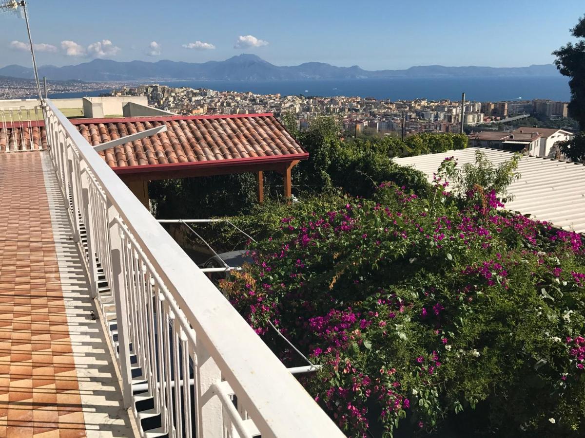 Panoramic *
